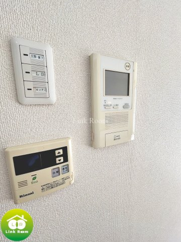 レシオイシワラのその他|参考写真