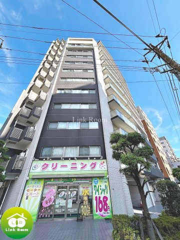 レシオイシワラのその他