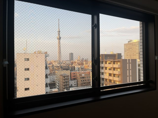 ラフィスタ錦糸町の展望