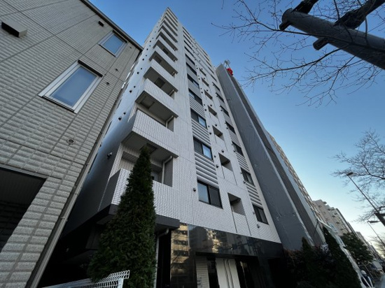 ラフィスタ錦糸町の外観