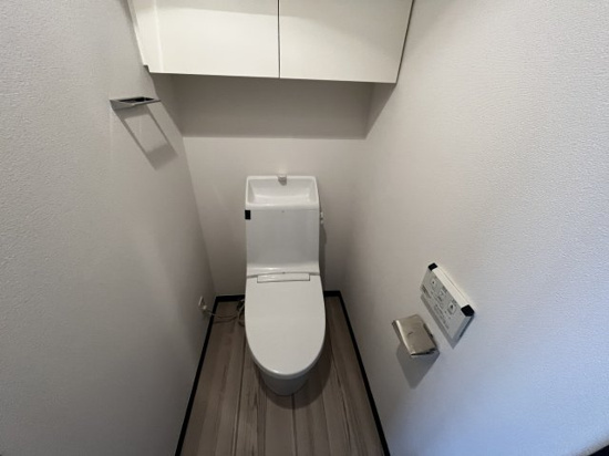 ラフィスタ錦糸町のトイレ