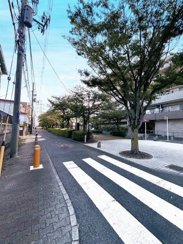 物件近くには緑道が整備され、お散歩コースに最適。
街路樹は桜の為、春先は特に華やかさが増します。