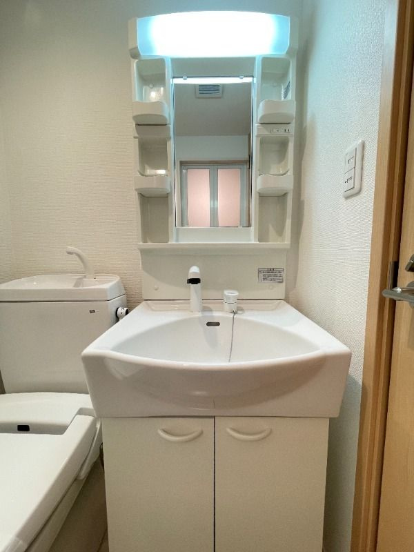 ビューメゾン横浜の洗面所