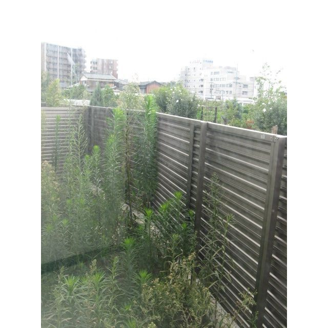 ファーストMの庭