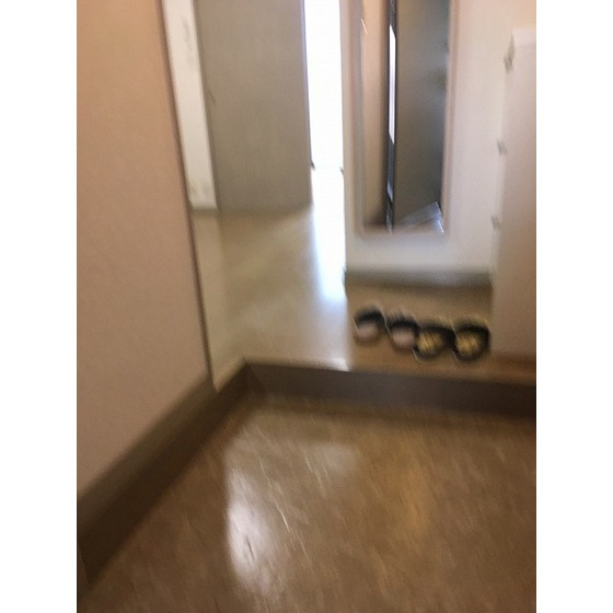 カーサたんぽぽの玄関|玄関