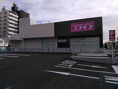 カーム・ハイツの周辺|コスモスまで1100m