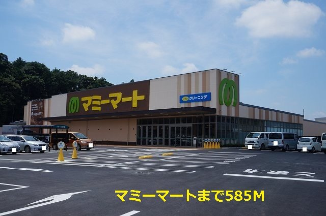 ピュア・キャッスルⅣの周辺|マミーマートまで585m