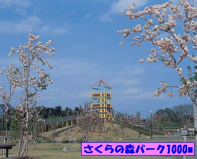 エレガント　ＨＲのその他|その他