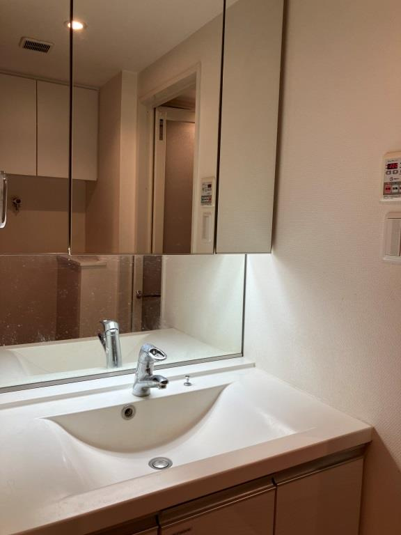 ライオンズ戸田公園ビューティスフォートの洗面所