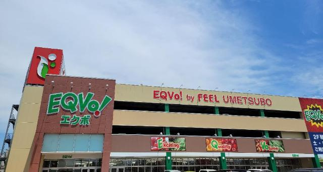 クローバーの周辺