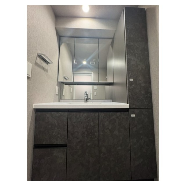 ACP Residence 錦糸町の洗面所