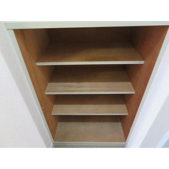 エレガンス綾瀬５の玄関|シューズボックス