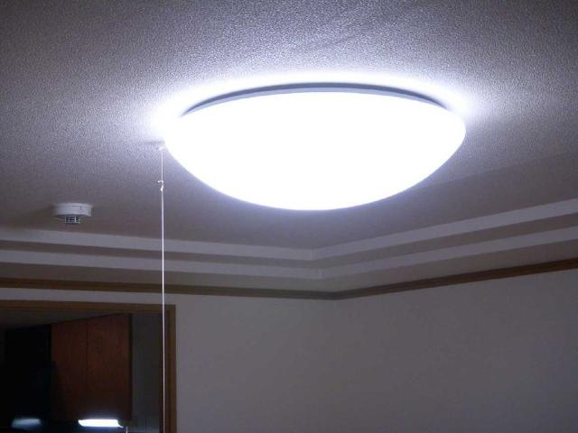 ルミナスハイムのその他|照明