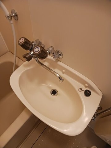 メゾン笠原の洗面所