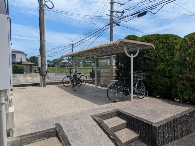 ＰｉｎｅＴｒｅｅＢのその他