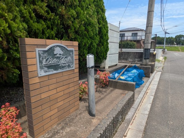 ＰｉｎｅＴｒｅｅＢのその他