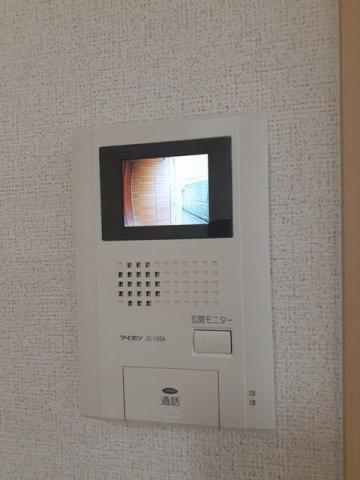 フィオーレのその他