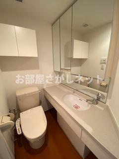 プライムアーバン目白【おとり物件なし】#学生・社会人にオススメ！初期費用分割払いOK！の洗面所