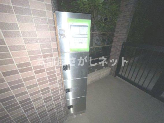 サウスコーラル【おとり物件なし】#学生・社会人にオススメ！初期費用分割払いOK！のエントランス