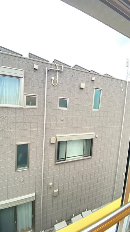 ZESTY駒沢大学Ⅱの展望