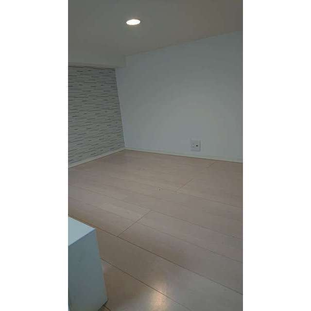 豊島区南池袋１丁目のアパートの内装