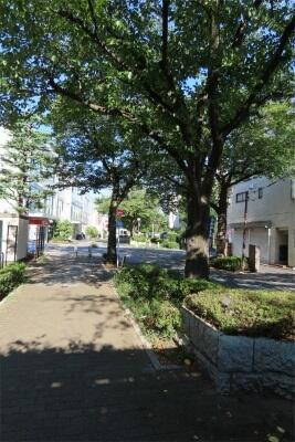 【その他】 | リブリ・かのん |  