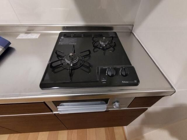 ゼルコーバのその他