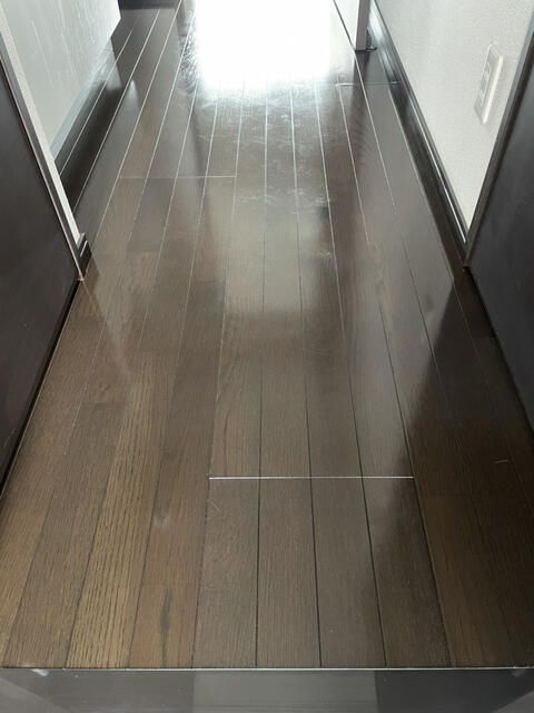 ヴェルステージ西川口Ⅲの玄関
