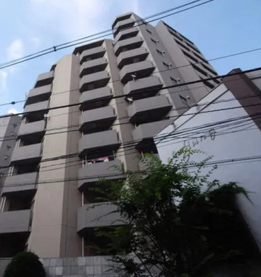 【外観】 | デュオ・スカーラ新宿Ⅱ | 外観です