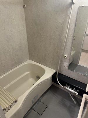 【浴室】 | デュオ・スカーラ新宿Ⅱ | 日々の疲れを癒すお風呂付です