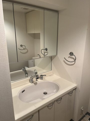 【独立洗面台】 | デュオ・スカーラ新宿Ⅱ | 独立洗面化粧台が付いています