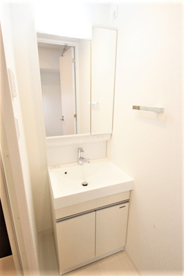 【独立洗面台】 | レオンコンフォート堀江公園 仲介手数料無料