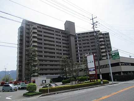 ロイヤルビュー一茶苑