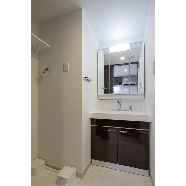 エステムコート名古屋サウスプレミオの洗面所