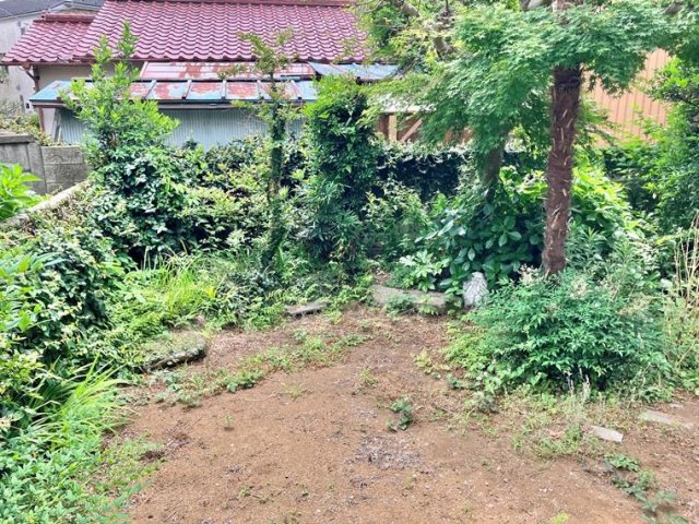 千代田戸建の庭