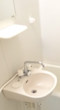 スカイコート後楽園WESTの洗面所