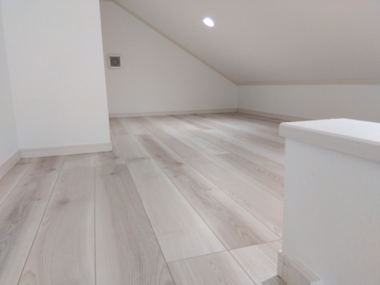 フェリース横濱白楽のその他|便利なロフト付き♪