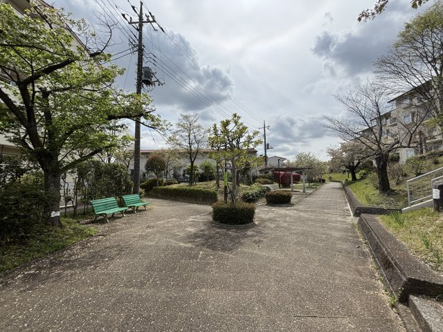 の-の画像