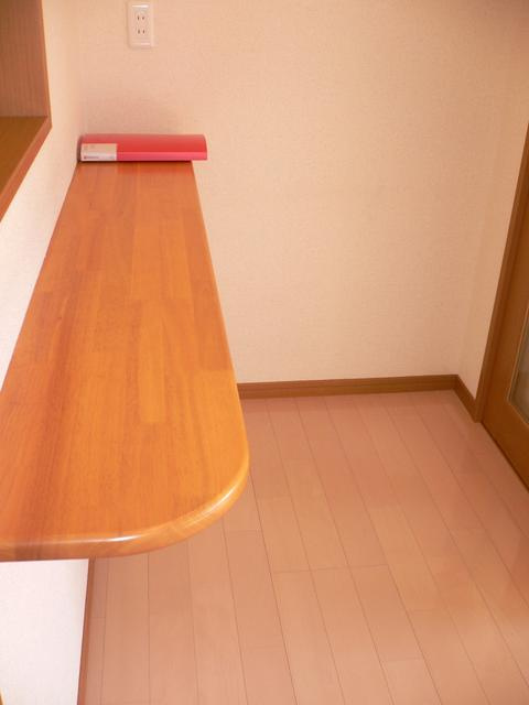 コンソラトゥールのその他