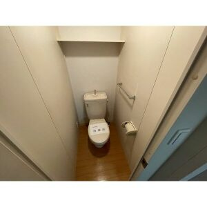 ヴィルベリーのその他