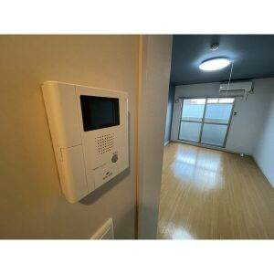 ヴィルベリーのセキュリティ