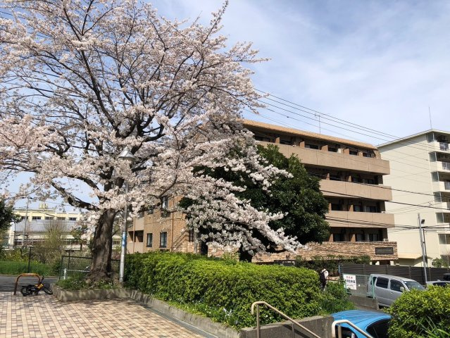 トーシンフェニックス落合公園の外観
