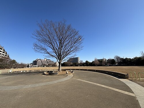 レクセル荻窪の周辺|公園