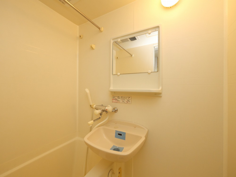 ディナスティ福島の洗面所