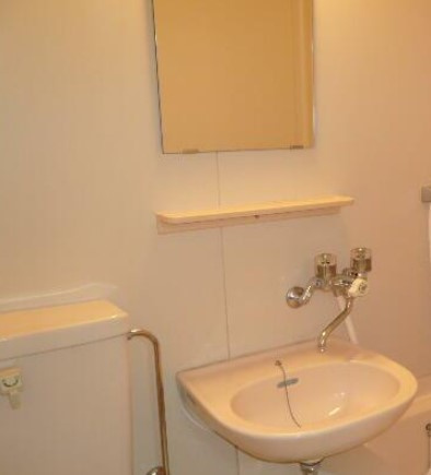 ハイムローゼの洗面所