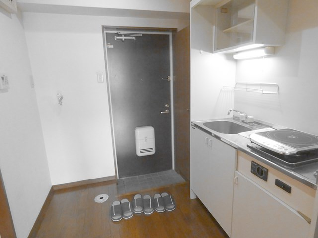 ドミールN竹原の玄関|★南面バルコニーです。