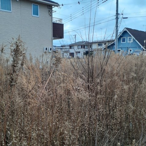 真岡市亀山の外観|北西側から南東側撮影