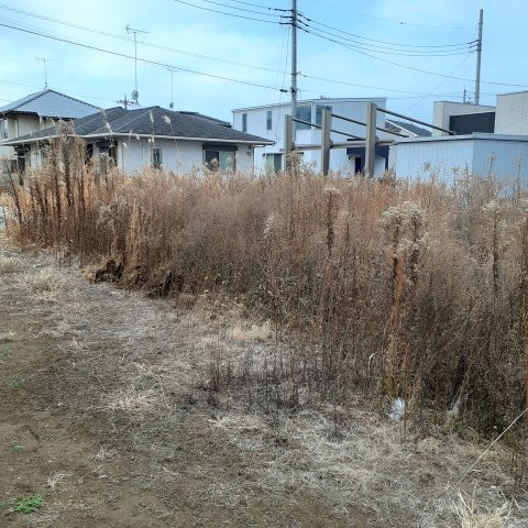 真岡市亀山の外観|北東側から南西側撮影