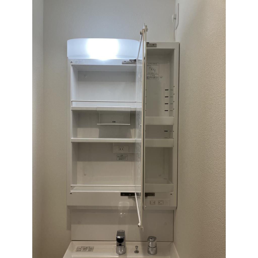 REGIES近大southⅡの洗面所