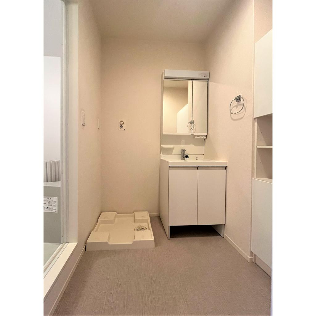 グレイス奥林Aの洗面所